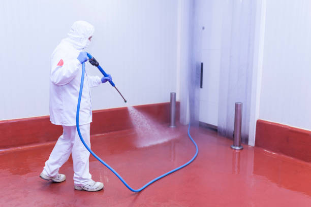 Best Rust Removal  in South River, NJ